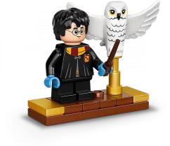 LEGO Harry Potter 75979 Hedviga