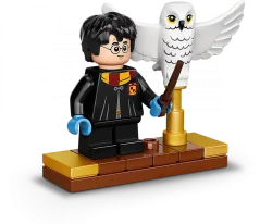 LEGO Harry Potter 75979 Hedviga