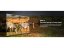 CHiQ L32M9E TV 32", HD, smart, Google TV, Dolby Audio, dbx-tv