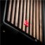 LYNX Challenger PRO Ryzen 7 7800X3D 32GB 2TB SSD NVMe RTX 5080 16G W11 Home
